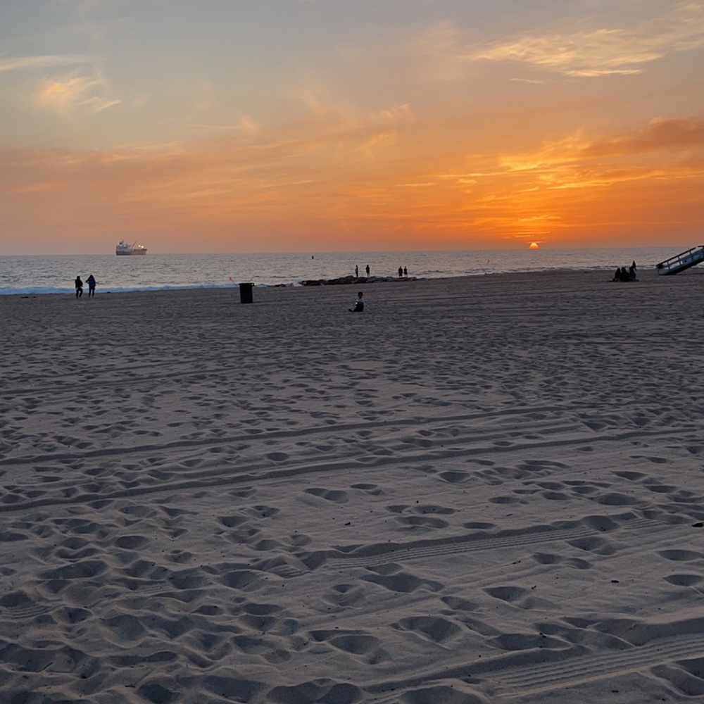 Meet your Posher, Autumn